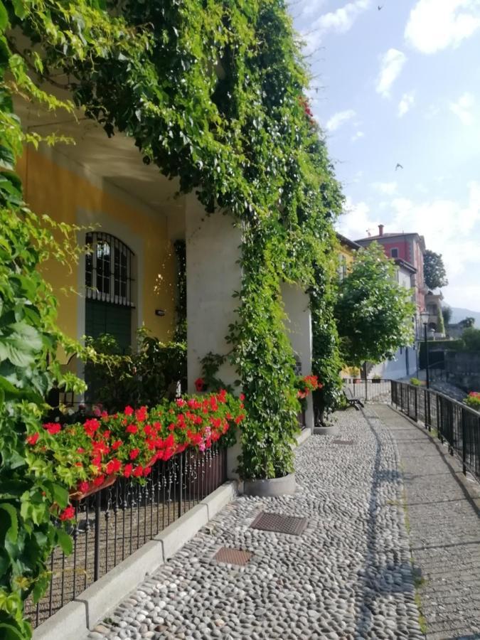 Viewtiful Homestay Stazzona المظهر الخارجي الصورة