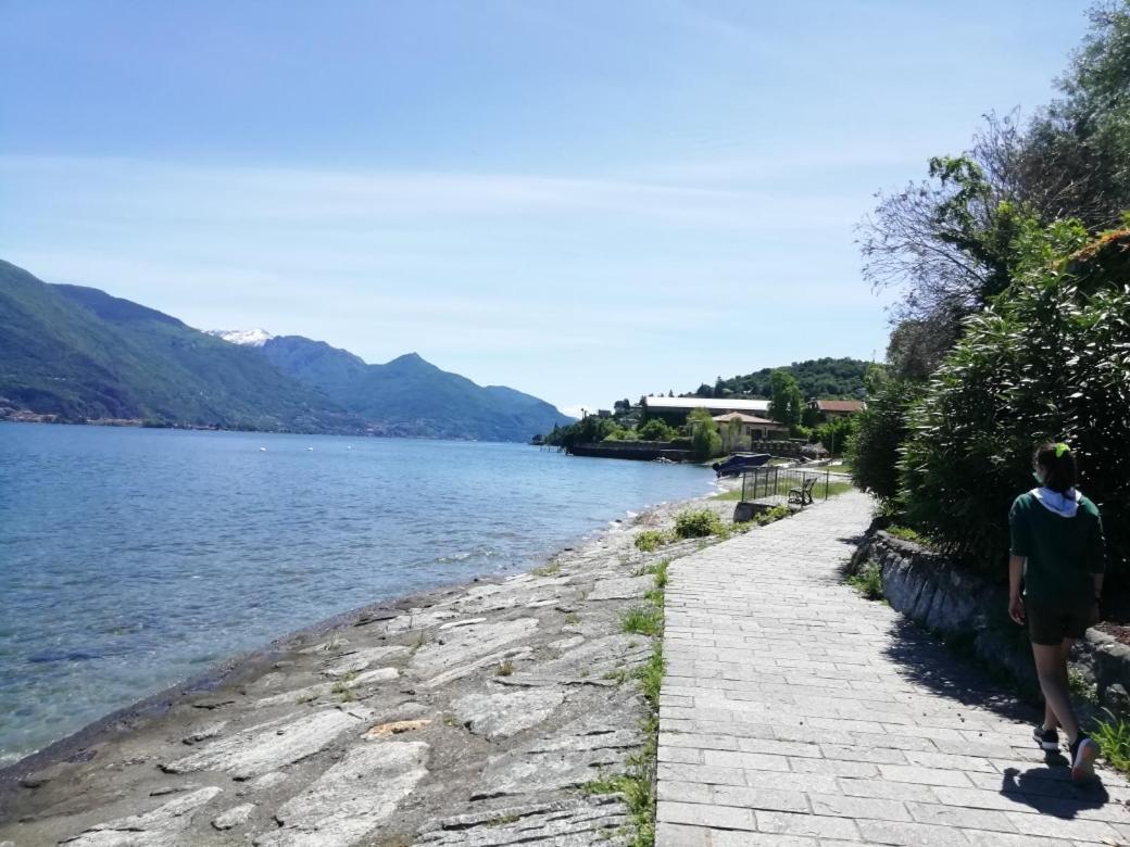 Viewtiful Homestay Stazzona المظهر الخارجي الصورة