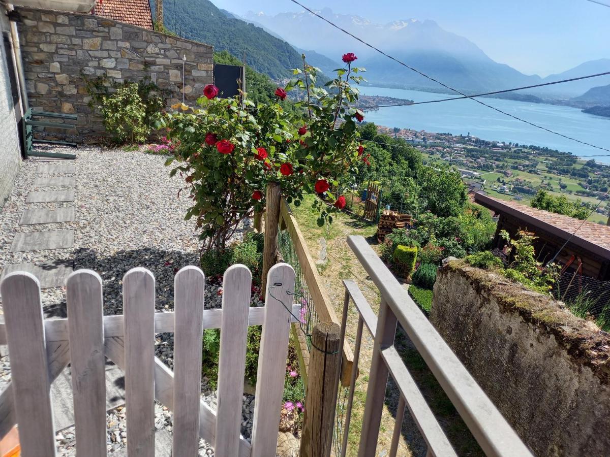 Viewtiful Homestay Stazzona المظهر الخارجي الصورة