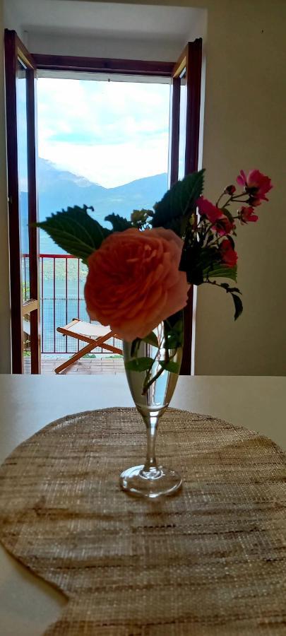 Viewtiful Homestay Stazzona المظهر الخارجي الصورة